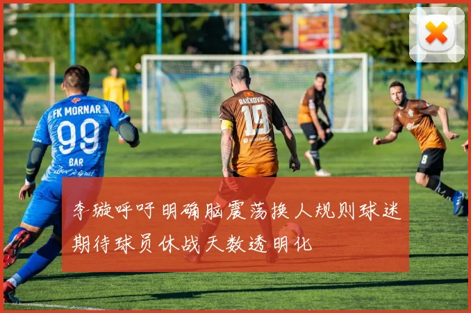 李璇呼吁明确脑震荡换人规则球迷期待球员休战天数透明化