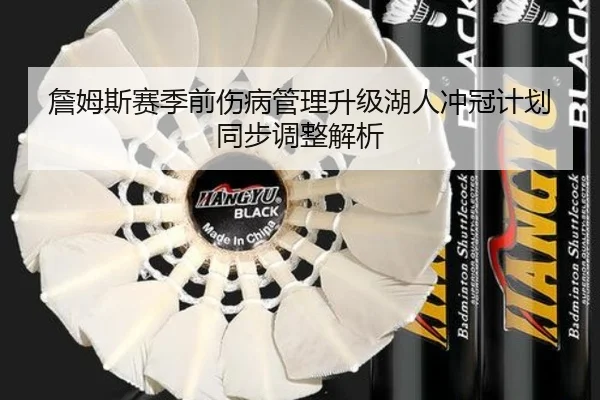 詹姆斯赛季前伤病管理升级湖人冲冠计划同步调整解析